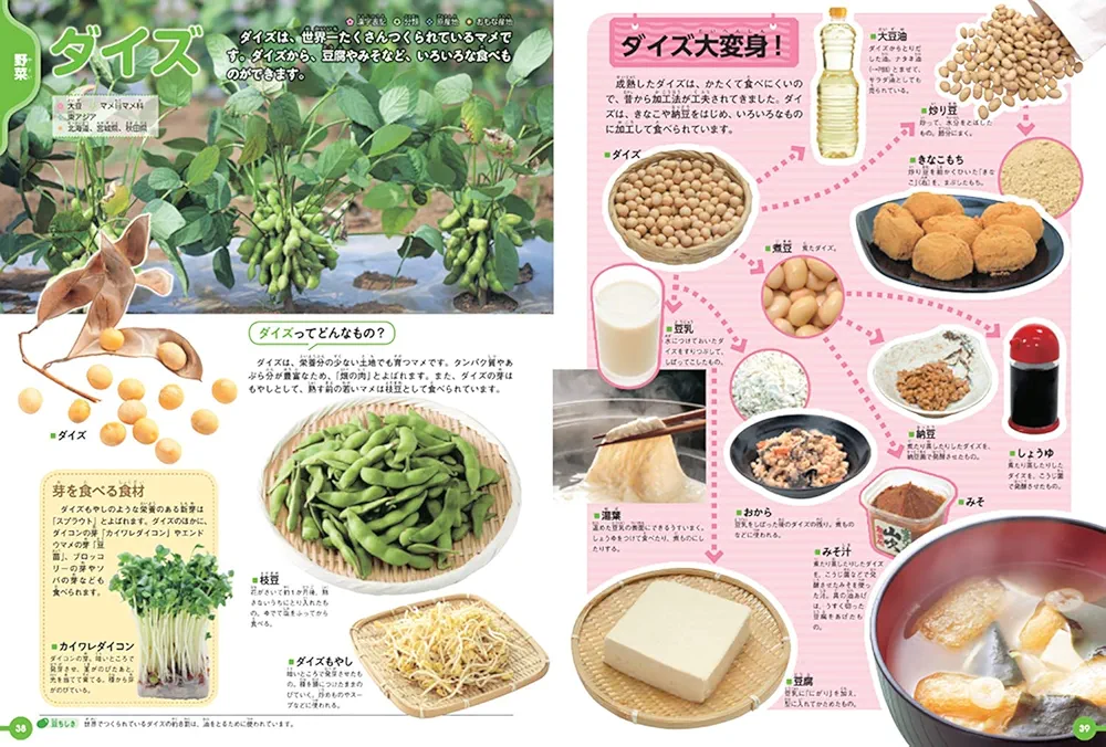 学研 - 学研　【材料料理　大辞典】 図鑑 料理の科学大図鑑 :スチュアート・ファリモンド,辻静雄料理教育